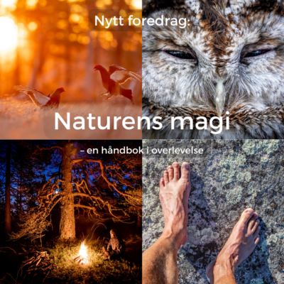 Foredraget Naturens magi handler om selvhjelp og mestring i kriser og utfordringer. Torgeir W. Skancke er kritikerrost og prisbelønt journalist, fotograf og forfatter